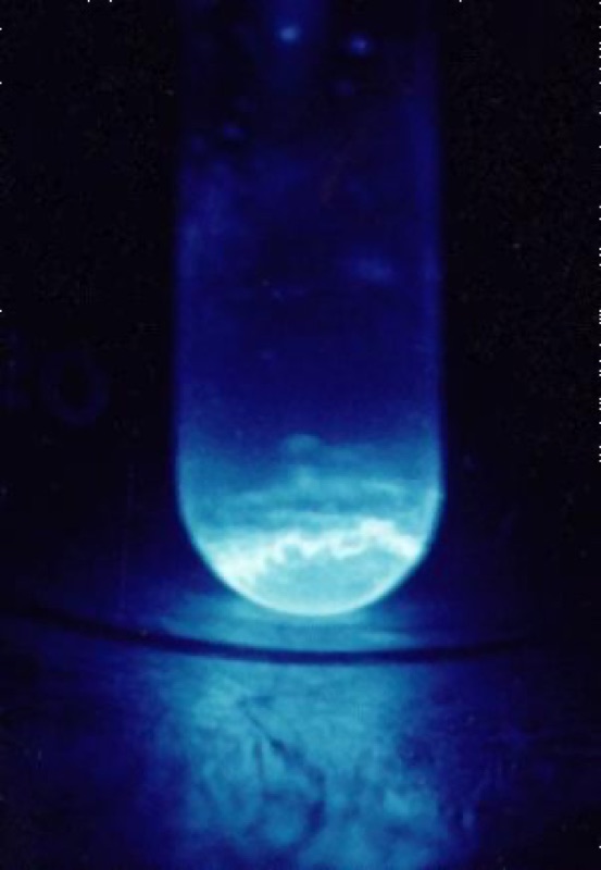 Einsteinium — 300 micrograms of Einsteinium 253, which has a half-life of 20 days.